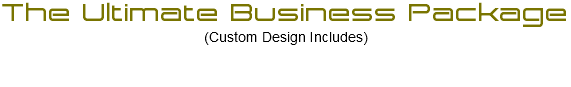The Ultimate Business Package (Custom Design Includes)